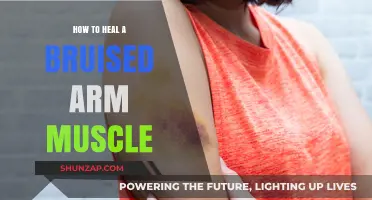 Effective Healing Tips for Bruised Arm Muscles: Recovery Guide
