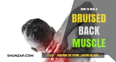 Soothing Relief: A Guide to Healing Your Bruised Back Muscle