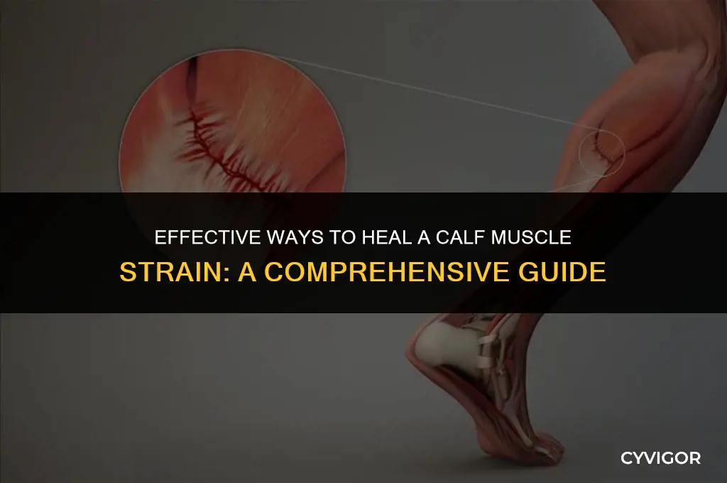 how to heal a calf muscle strain
