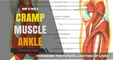 Effective Ways to Heal a Muscle Cramp in Your Ankle