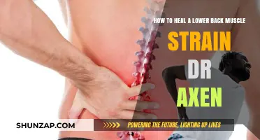 Effective Ways to Heal a Lower Back Muscle Strain