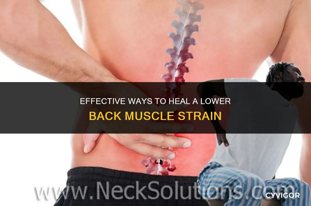 how to heal a lower back muscle strain dr axen