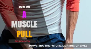 Effective Strategies to Heal a Muscle Pull and Recover Quickly