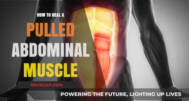 Effective Healing Strategies for Pulled Abdominal Muscles: A Comprehensive Guide