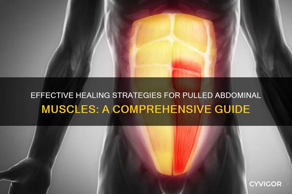 how to heal a pulled abdominal muscle