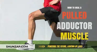 Effective Healing Strategies for Pulled Adductor Muscle Recovery