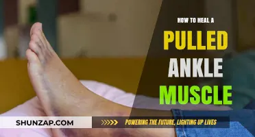 Effective Recovery Tips for Healing a Pulled Ankle Muscle Fast