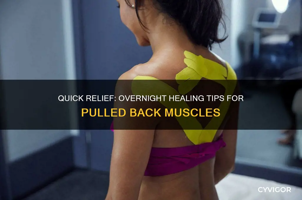 how to heal a pulled back muscle overnight