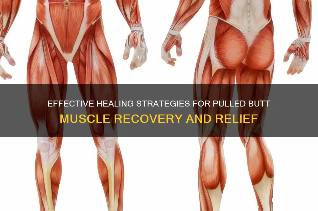 how to heal a pulled butt muscle