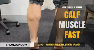 Quick Recovery Tips for Healing a Pulled Calf Muscle Fast