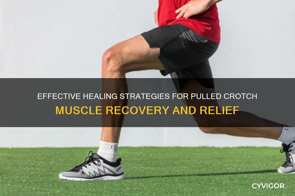 how to heal a pulled crotch muscle