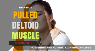 Effective Healing Strategies for Pulled Deltoid Muscle Recovery and Relief