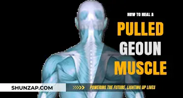 Effective Healing Strategies for a Pulled Groin Muscle Recovery