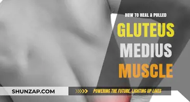 Effective Healing Strategies for Pulled Gluteus Medius Muscle Recovery