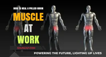Effective Ways to Heal a Pulled Groin Muscle While at Work