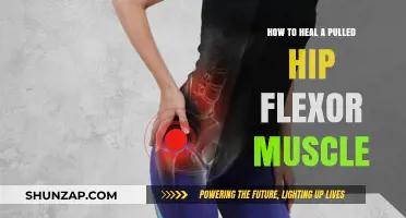 Effective Healing Strategies for Pulled Hip Flexor Muscle Recovery