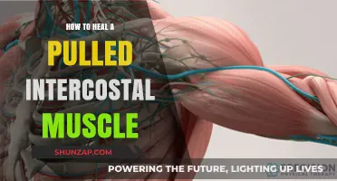Effective Healing Strategies for Pulled Intercostal Muscles: A Comprehensive Guide