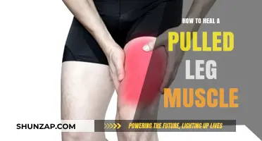 Effective Recovery Tips for Healing a Pulled Leg Muscle Fast