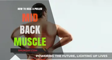 Effective Healing Strategies for Pulled Mid Back Muscle Relief and Recovery