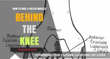 Effective Healing Strategies for Pulled Muscles Behind the Knee