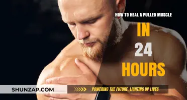 Quick Muscle Recovery: 24-Hour Healing Guide for Pulled Muscles