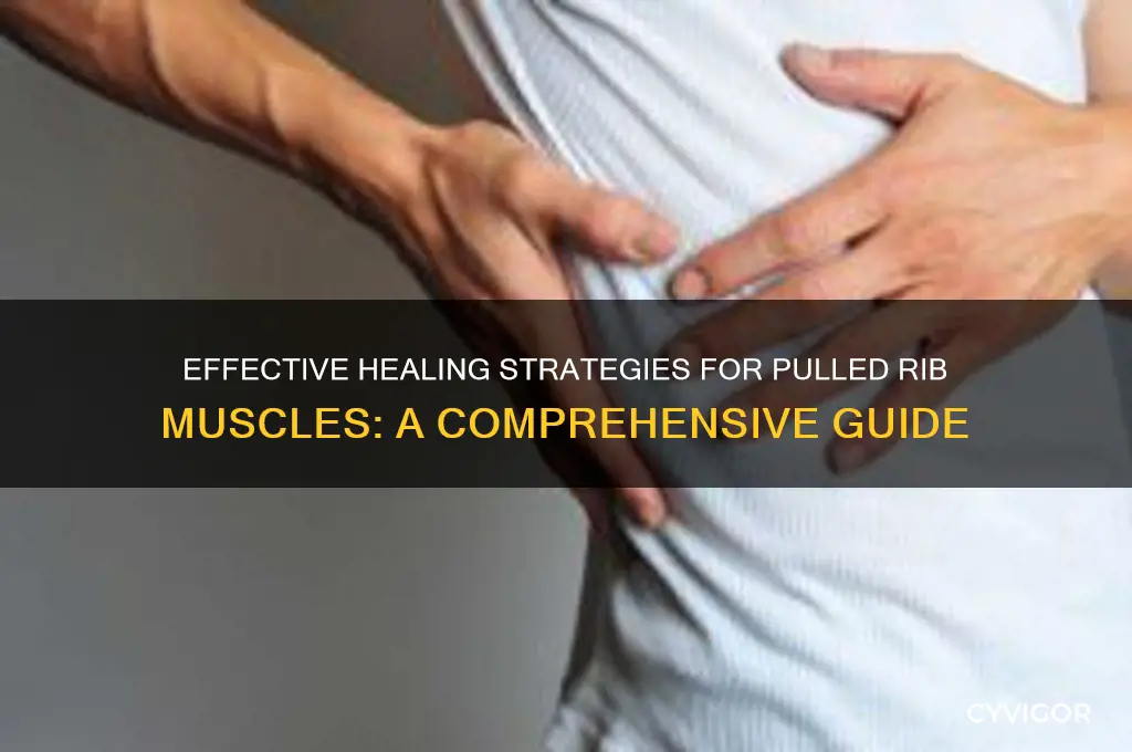 how to heal a pulled muscle in ribs