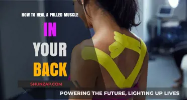 Effective Ways to Heal a Pulled Back Muscle and Relieve Pain