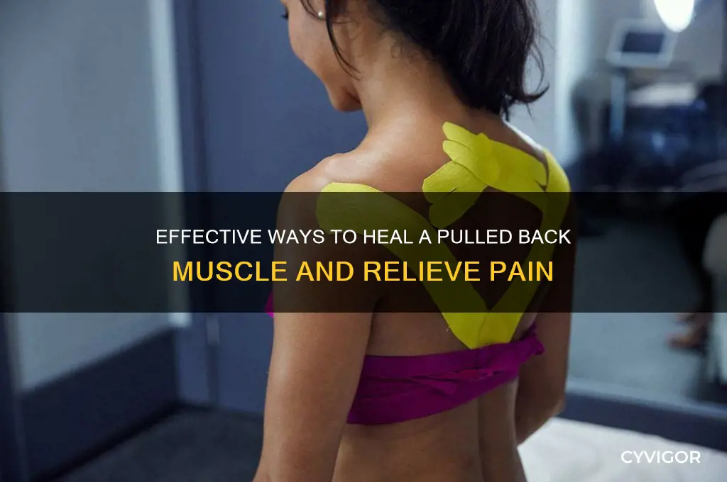 how to heal a pulled muscle in your back