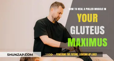 Effective Healing Strategies for Pulled Gluteus Maximus Muscles