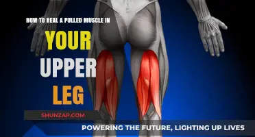 Effective Healing Strategies for Pulled Upper Leg Muscles: A Comprehensive Guide