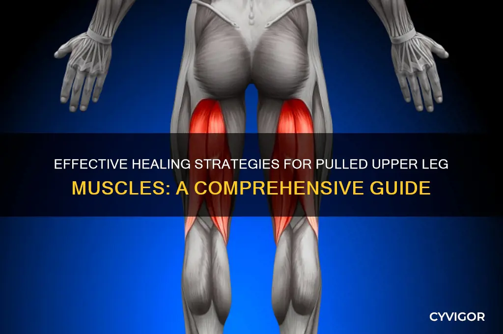 how to heal a pulled muscle in your upper leg