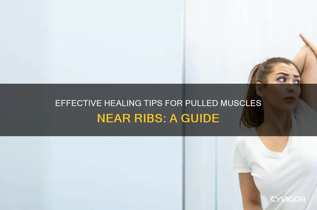 how to heal a pulled muscle near ribs