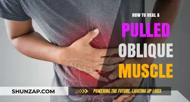 Effective Recovery Tips for Healing a Pulled Oblique Muscle Fast