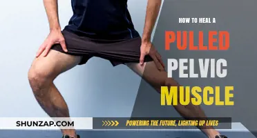 Effective Healing Strategies for Pulled Pelvic Muscles: A Comprehensive Guide