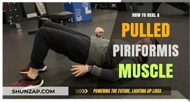 Effective Healing Strategies for Pulled Piriformis Muscle Recovery