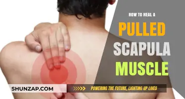 Effective Healing Strategies for Pulled Scapula Muscle Recovery and Relief