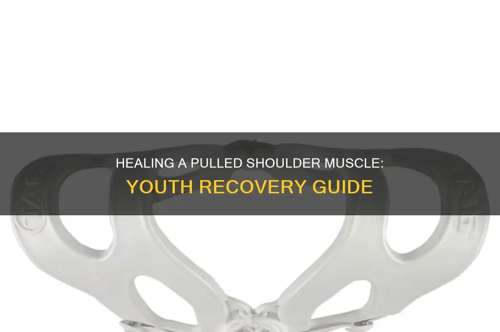 how to heal a pulled shoulder muscle for a youth
