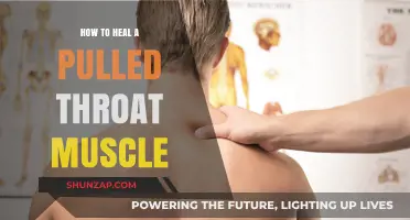 Effective Remedies for Healing a Pulled Throat Muscle Quickly and Safely