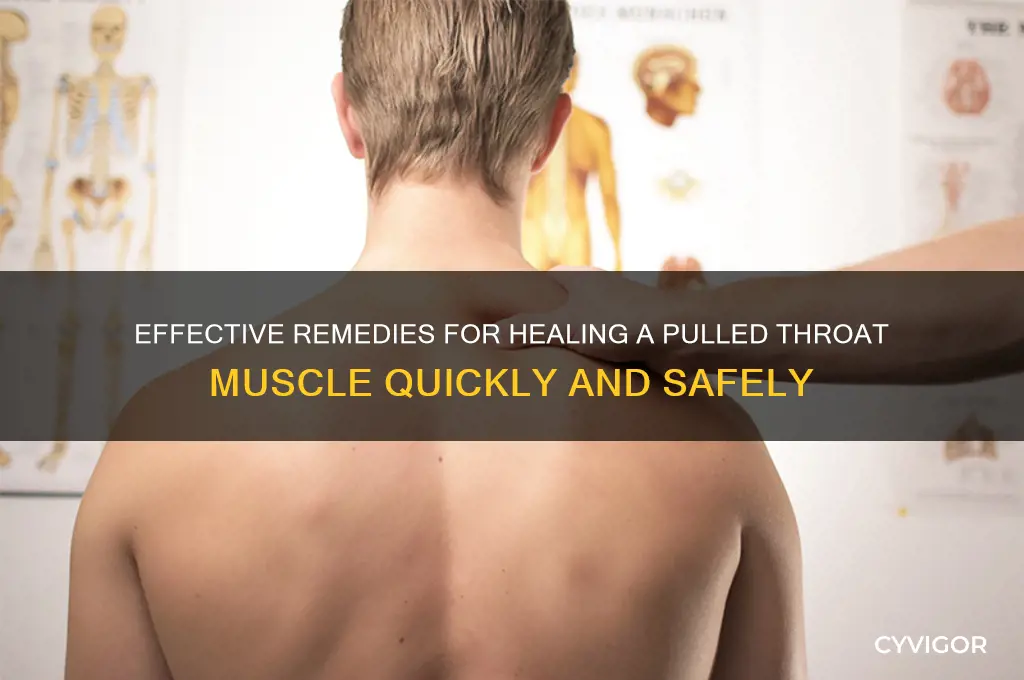 how to heal a pulled throat muscle