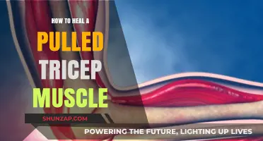 Effective Healing Strategies for Pulled Tricep Muscle Recovery and Relief