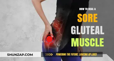 Effective Ways to Heal and Relieve Sore Gluteal Muscles Fast