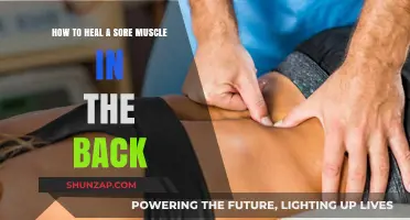 Effective Remedies to Soothe and Heal a Sore Back Muscle