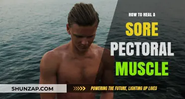 Effective Ways to Heal and Recover Sore Pec Muscles Fast