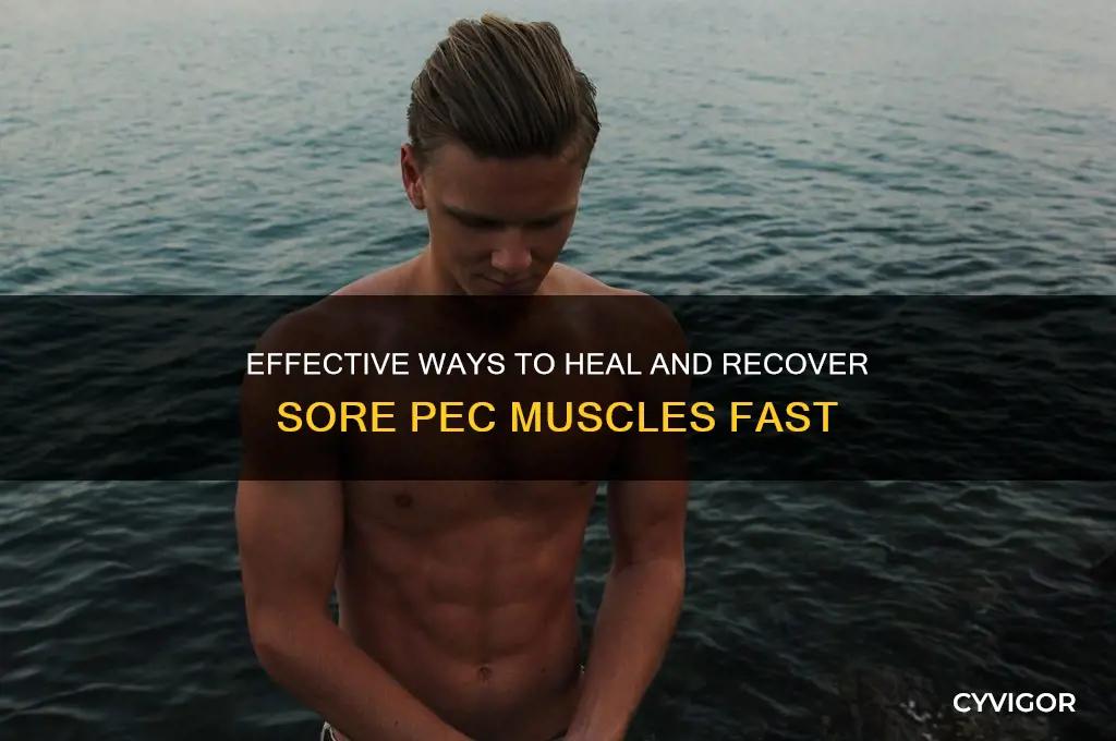 how to heal a sore pectoral muscle