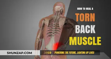 Effective Ways to Heal a Torn Back Muscle: A Comprehensive Guide