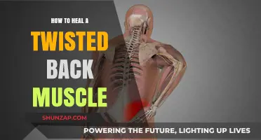 Effective Ways to Heal a Twisted Back Muscle: A Comprehensive Guide