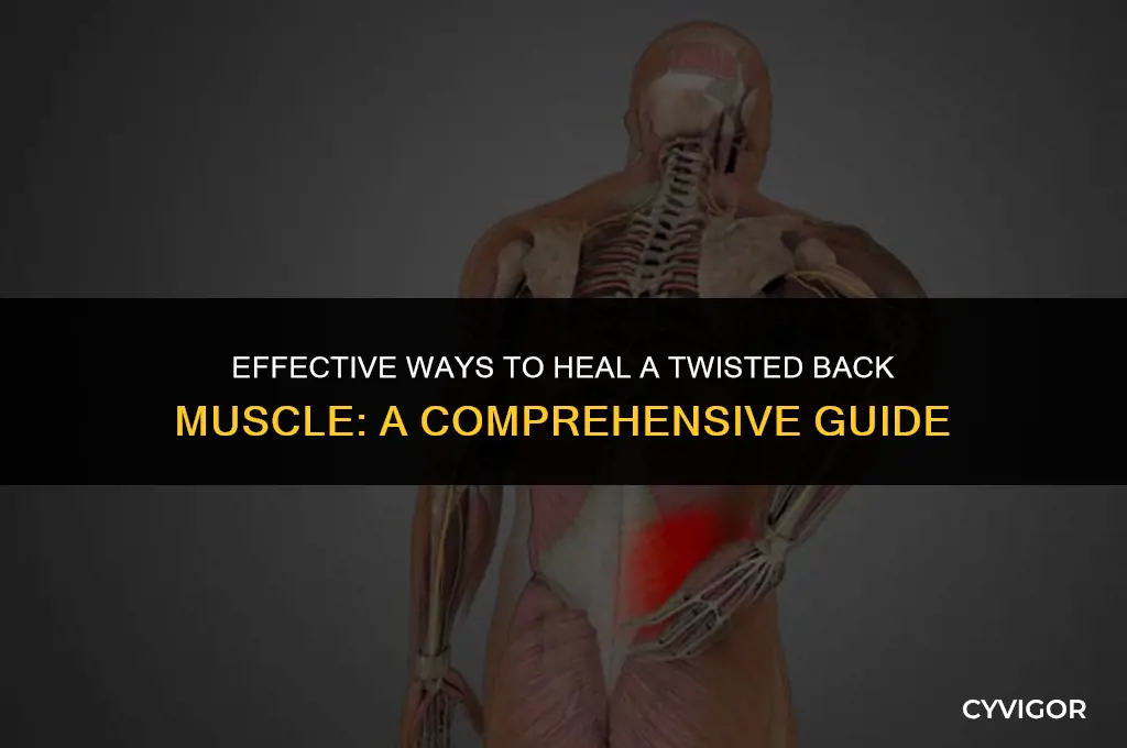 how to heal a twisted back muscle