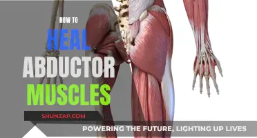 Healing Abductor Muscles: A Comprehensive Guide to Recovery