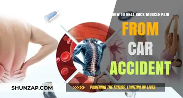 Healing Back Muscle Pain After a Car Accident: Effective Recovery Tips