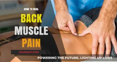 Effective Strategies to Relieve and Heal Back Muscle Pain Fast
